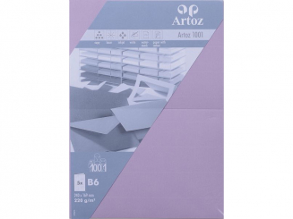 1001 Pkg 5 Karten B6 flieder