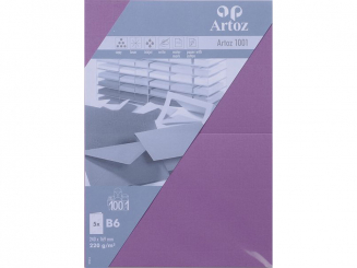 1001 Pkg 5 Karten B6 holunder