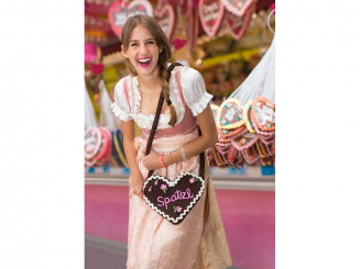 Anleitung Filzwolle Uni Lebkuchenherztasche 