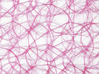 CREAweb 30 cm breit, petunie 