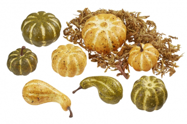Deko-Kürbisse m. Moos, gelb-grün, ca. 3,5 - 5 cm, Btl. 8 St. 