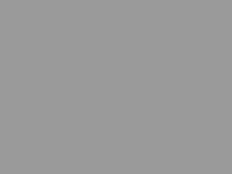 Grosslochperle Olive Holz ø 22 x 30 mm grau