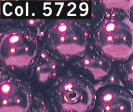 Renaissance Perlen 6mm  5729 