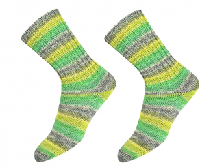 Sockenwolle Supersocke Sort.381 Wonderland Farbe 3136