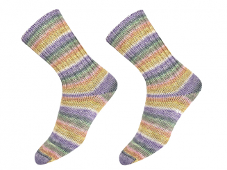 Sockenwolle Supersocke Sort.381 Wonderland Farbe 3139