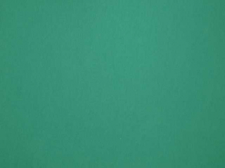 Sommerjersey mit Lycra grün 