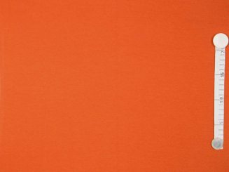 Swetshirt Stoff winterqualität innen flauschig mango 