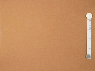 Swetshirt Stoff winterqualität innen flauschig latte 