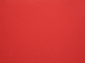 Swetshirt Stoff winterqualität innen flauschig rot 