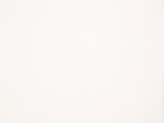 Swetshirt Stoff winterqualität innen flauschig weiss 