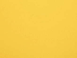 Swetshirt Stoff winterqualität innen flauschig sonnengelb 