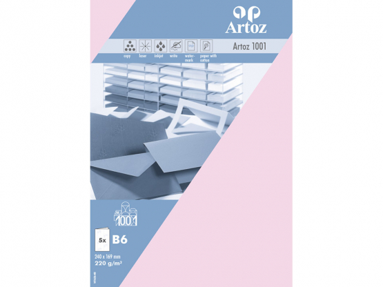 1001 Pkg 5 Karten B6 kirschblüte