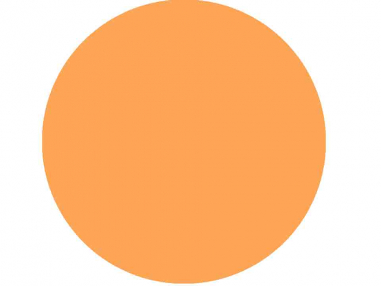 1001 Pkg 5 Tischkarte 10x9 cm n orange