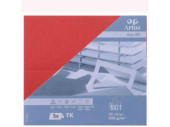 1001 Pkg 5 Tischkarte 10x9 cm rot