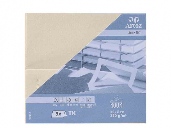 1001 Pkg 5 Tischkarte 10x9 cm chamois