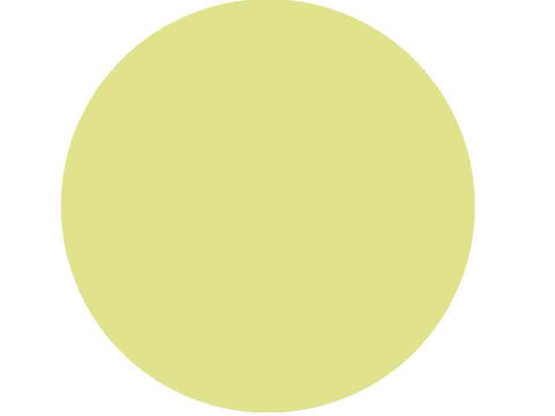 1001 Pkg 5 Tischkarte 10x9 cm limette