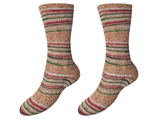 Austermann Sockenwolle Step 4 Chalet Farbe 528 Pinzgau