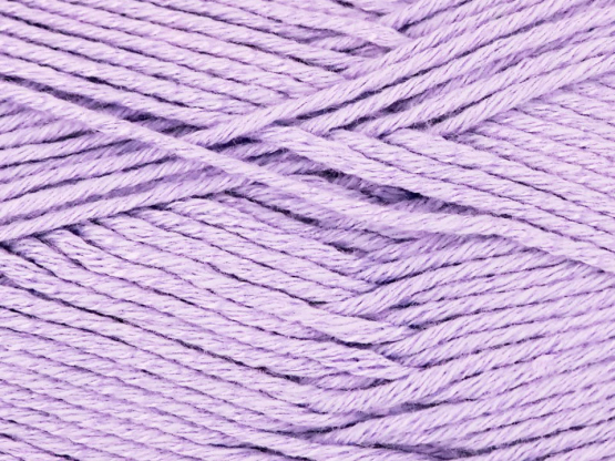 LINIE 495 Lasco flieder