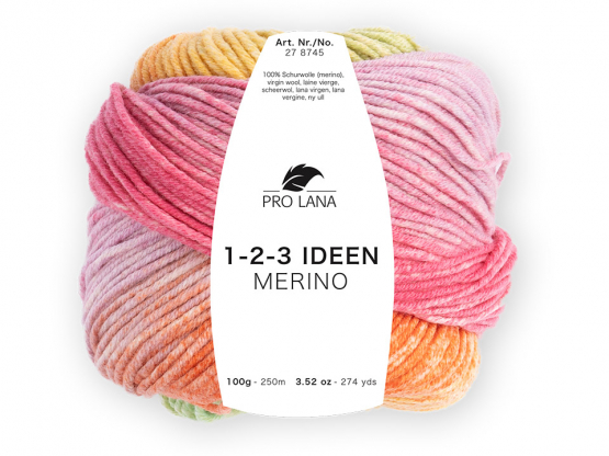 ProLana 1-2-3 Ideen Merino Farbe 1