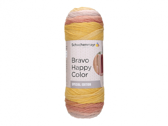 Schachenmayr Bravo Happy color Farbe 2077