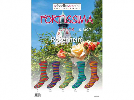 Sockenwolle Fortissima Rosenheim color 