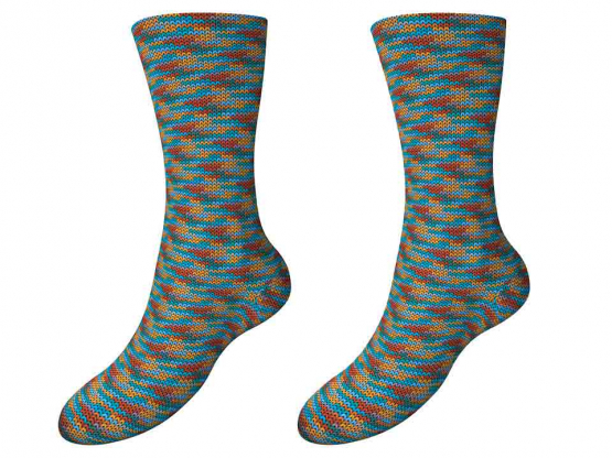 Sockenwolle Fortissima Tradition color Schlehe