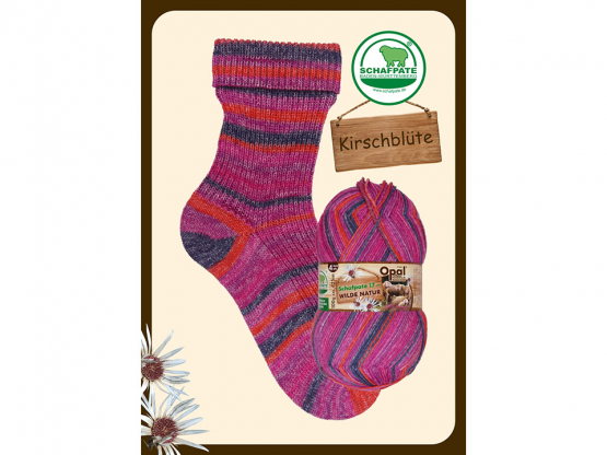 Sockenwolle Opal 4fach Schafpate 17 Farbe 11593 kirschblüte