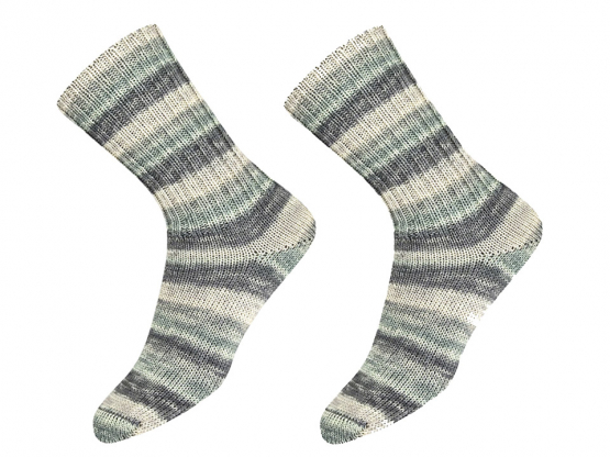 Sockenwolle Supersocke Sort.381 Wonderland Farbe 3141