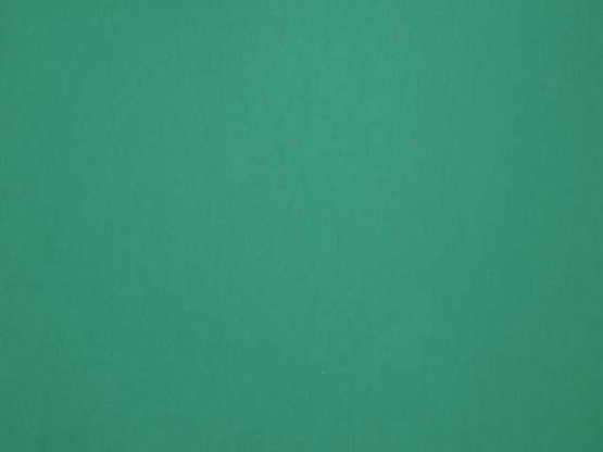 Sommerjersey mit Lycra grün 