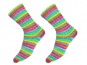 Sockenwolle Supersocke Sort.381 Wonderland 