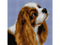 Stickbild Vorlage 15 x 15 cm mit Garn Hund-weiss